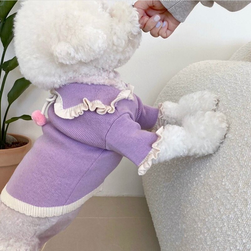 Animal de companie Pulover cu cireșe Cămașă cu fundul Pomeranian Cățeluș Îmbrăcăminte caldă de iarnă Teddy Pulover din tricot de culoare solidă Haine pentru câini la modă