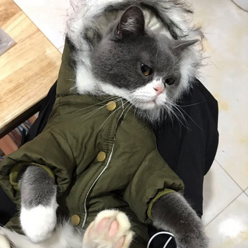 Talvine soe lemmikloomade koerte kombinesoon Koerte riided väikestele koertele Chihuahua jope Yorkie kostüümid Shih Tzu mantel puudli rõivad