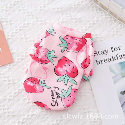 Pliušinis megztinis šunų džemperis mažiems šunims Daugiaspalvis žieminis šiltas naminių gyvūnėlių drabužis Mielas animacinis kačių šuniuko drabužis Čihuahua taksas