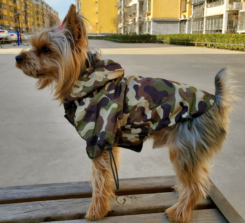 Pláštenka s maskáčovou kapucňou, reflexný kabát, nepremokavá vetruodolná bunda s nastaviteľnou manžetou, plášť pre psov, oblečenie pre domáce zvieratá, jar/leto
