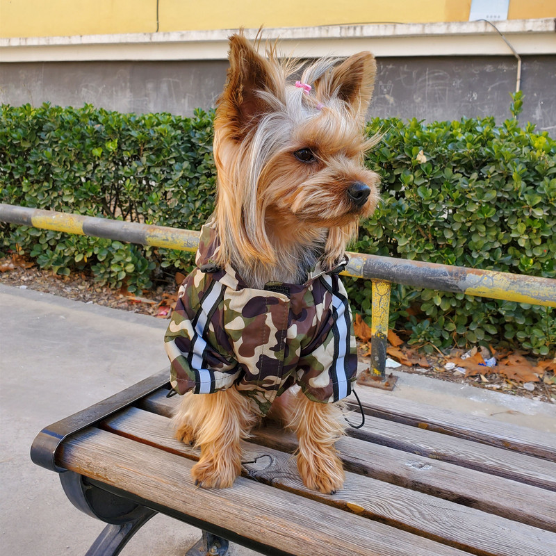 Pláštenka s maskáčovou kapucňou, reflexný kabát, nepremokavá vetruodolná bunda s nastaviteľnou manžetou, plášť pre psov, oblečenie pre domáce zvieratá, jar/leto