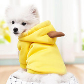 Câine, pisică, fructe, culori, hanorac de iarnă, pulover, poliester, articole de pluș, articole pentru animale de companie, produse pentru animale de companie, accesorii pentru câini, grădină.