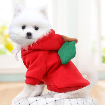 Χρώματα φρούτων για σκύλους γάτα Χειμερινό πουλόβερ με κουκούλα από πολυεστέρα Teddy Ρούχα Προμήθειες για κατοικίδια Προϊόντα για σκύλους Προμήθειες για το σπίτι Κήπος
