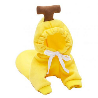 Câine, pisică, fructe, culori, hanorac de iarnă, pulover, poliester, articole de pluș, articole pentru animale de companie, produse pentru animale de companie, accesorii pentru câini, grădină.