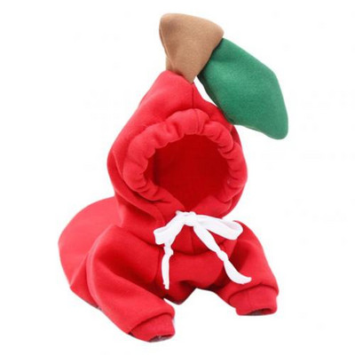 Câine, pisică, fructe, culori, hanorac de iarnă, pulover, poliester, articole de pluș, articole pentru animale de companie, produse pentru animale de companie, accesorii pentru câini, grădină.