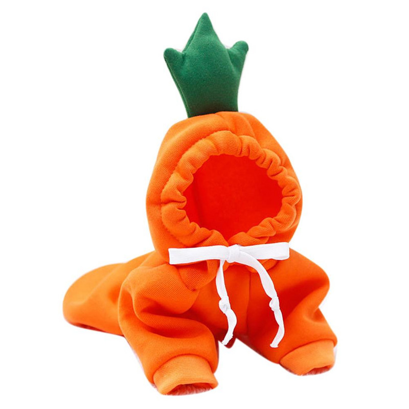 Câine, pisică, fructe, culori, hanorac de iarnă, pulover, poliester, articole de pluș, articole pentru animale de companie, produse pentru animale de companie, accesorii pentru câini, grădină.