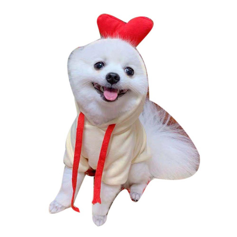 Câine, pisică, fructe, culori, hanorac de iarnă, pulover, poliester, articole de pluș, articole pentru animale de companie, produse pentru animale de companie, accesorii pentru câini, grădină.