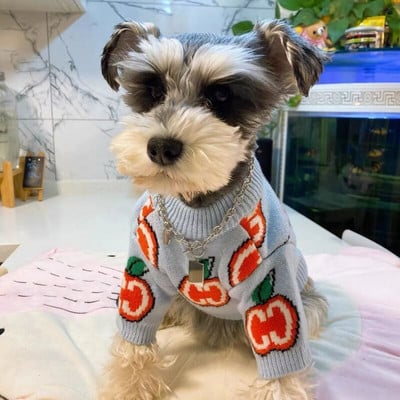 Pulover pentru câini Haine pentru câini pentru animale de companie Hanorac din bumbac Îmbrăcăminte Câini Călduț Drăguț Chihuahua Schnauzer Print Toamnă Iarnă Gary Boy Mascotas