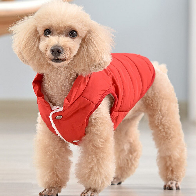 Zimné oblečenie pre psov, flísová bunda s podšívkou z cottonu, teplý kabát pre šteniatka, nepremokavá bunda, oblečenie pre malých a stredných psov, kostým pre psov