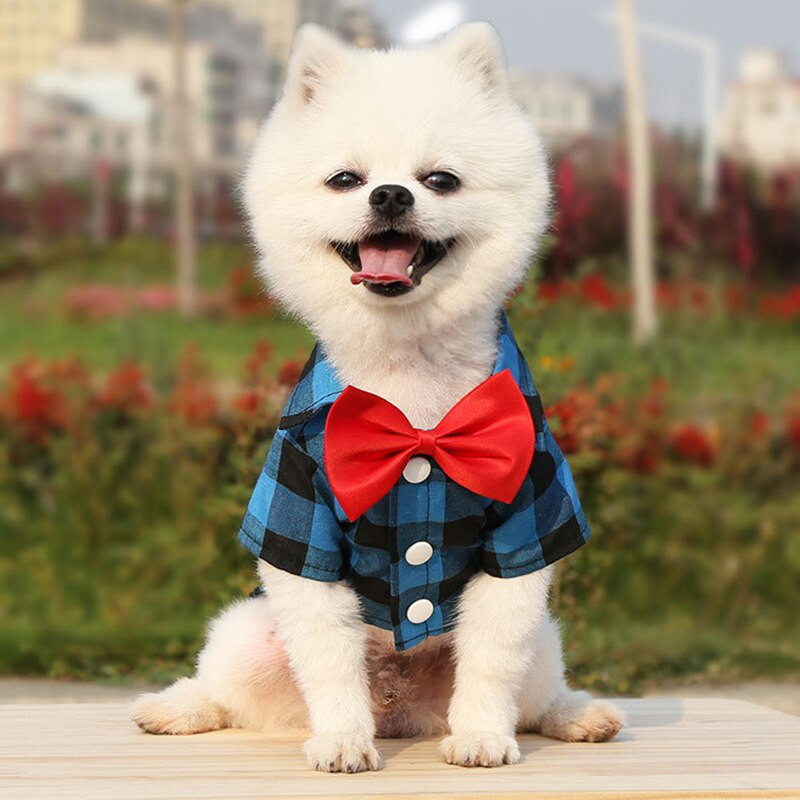 Риза за кучета в хавайски стил Летни дрехи за домашни кучета за малки и средни кучета Дрехи за кученца Френски булдог Померан Облекло за домашни любимци