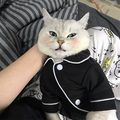 Kockované košele Oblečenie pre domáce zvieratá Psy Pyžamá Mačky Oblečenie pre psov Kostým Malé mačiatka Potlač móda Roztomilé Letné Khaki dievčatko Chlapček Yorkshire