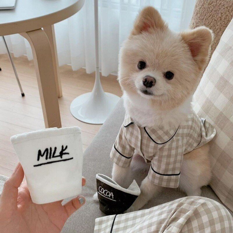 Kockované košele Oblečenie pre domáce zvieratá Psy Pyžamá Mačky Oblečenie pre psov Kostým Malé mačiatka Potlač móda Roztomilé Letné Khaki dievčatko Chlapček Yorkshire