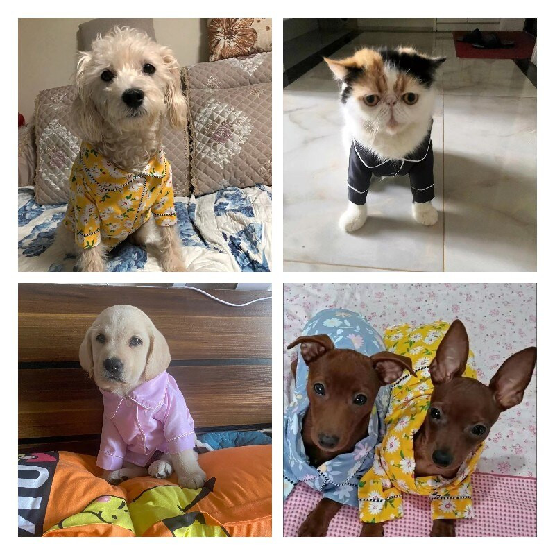 Ένδυση για κατοικίδια με στάμπες πιτζάμες υψηλής ποιότητας Πιτζάμες για σκύλους Πιτζάμες για κατοικίδια Πουκάμισα για σκύλους Κορεατικού στυλ Κομψό άνετο πουκάμισο για κατοικίδια