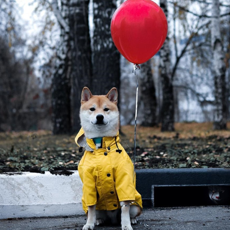 SUPREPET Yellow Puppy Clothes Αδιάβροχο μπουφάν για σκύλους γαλλικού μπουλντόγκ ριγέ ρούχα Αξεσουάρ σκυλιών για μεγάλα σκυλιά