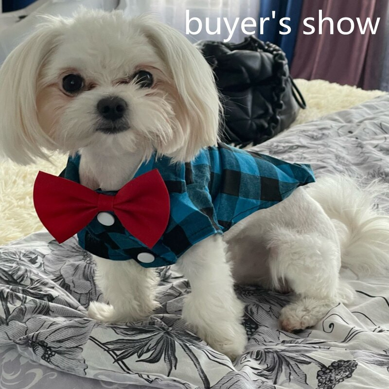 Σκύλος καρό πουκάμισο Κοστούμι όμορφο παπιγιόν πουκάμισα Gentleman Style για σκύλο Μπλουζάκι από πολυεστέρα Άνετο γιλέκο κατοικίδιων που αναπνέει Ρούχα για κατοικίδια