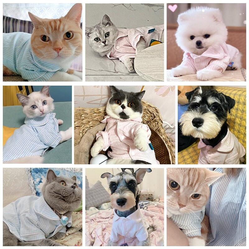 Pyžamo s pruhmi pre psov, oblečenie pre malé šteniatka psov, zvieratká, dievčatá, chlapcov, tričko pre milovníkov domácich zvierat, kostýmy pre mačky, XS, XL, letné tričko, bišony, mopslíci