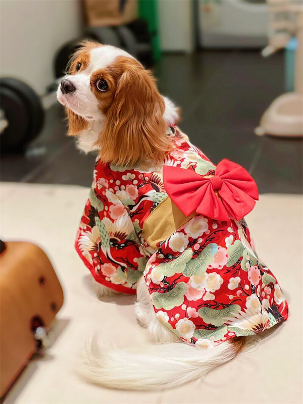 Kevadsuvised riided kassikoerale Jaapani stiilis lemmikloomariided Kimono väikestele keskmistele koertele Shiba Inu Corgi kutsika kostüüm
