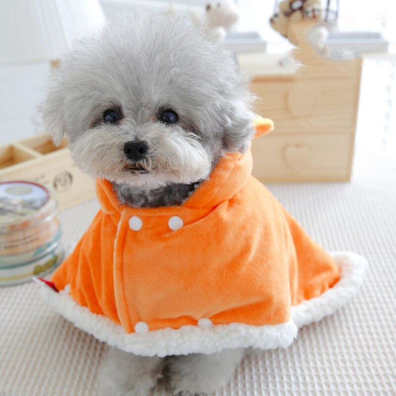 Vtipné pyžamo Tiger pre malých psov, vnútorná deka, posteľ, chránič pohovky, kostýmy, domáce zvieratá, mačka, šteňa, zvieracia mikina, čivava, buldog, mops