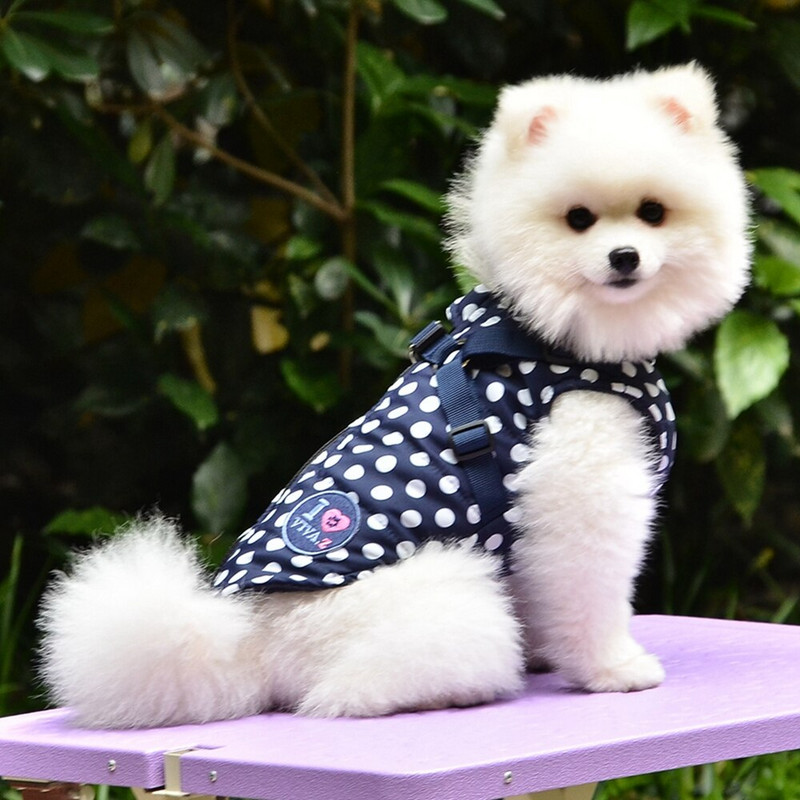 Bunda pre domáce zvieratá, kabát pre malé psy s postrojom, zimné teplé oblečenie pre psov pre malé a stredné psy, kostým francúzskeho buldočka a yorkshirského tyrkysového tyrana