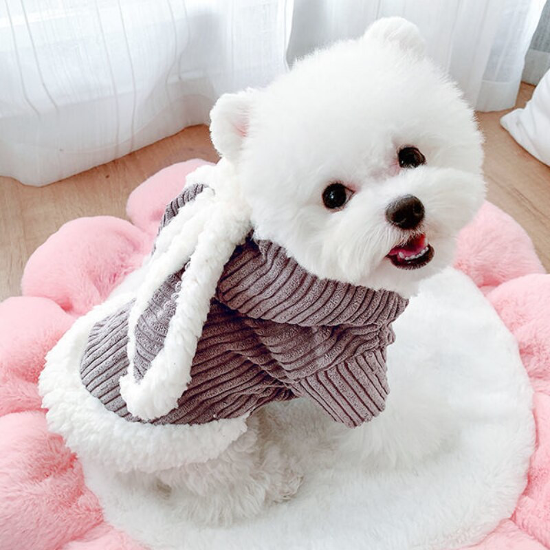 Haine pentru câini Toamnă Iarnă Plus Haine de catifea pentru iepure Haine pentru cățeluș Chihuahua Haine pentru buldog francez Haine pentru câine mic, pisică, pentru animale de companie