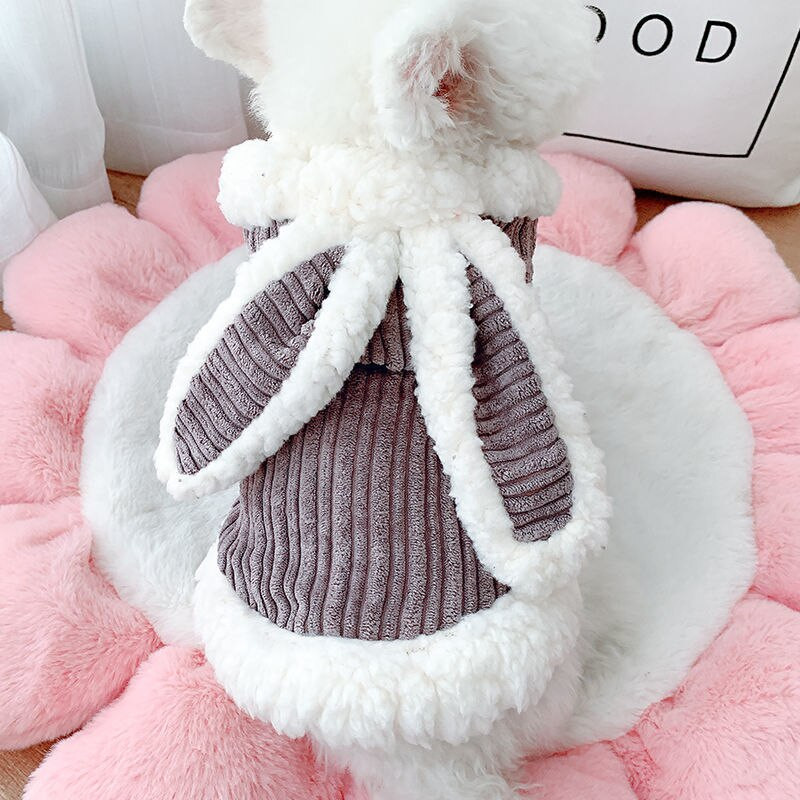 Haine pentru câini Toamnă Iarnă Plus Haine de catifea pentru iepure Haine pentru cățeluș Chihuahua Haine pentru buldog francez Haine pentru câine mic, pisică, pentru animale de companie