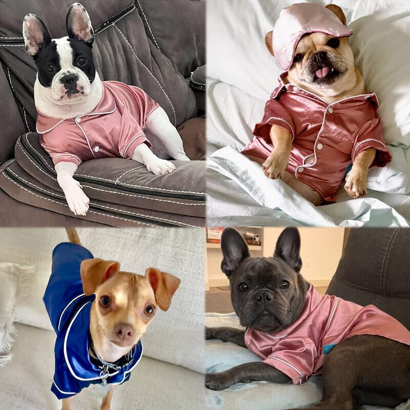 Lemmikloomade pidžaamad Mood Lemmikloomarõivad Koerasärk Luksuslik mantel jakk vabaajarõivad väikesele keskmisele koerale kassile chihuahua buldogile lemmikloomade riided