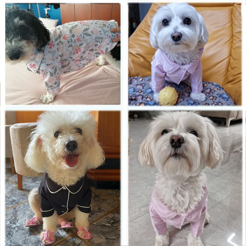 Lemmikloomade pidžaamad Mood Lemmikloomarõivad Koerasärk Luksuslik mantel jakk vabaajarõivad väikesele keskmisele koerale kassile chihuahua buldogile lemmikloomade riided