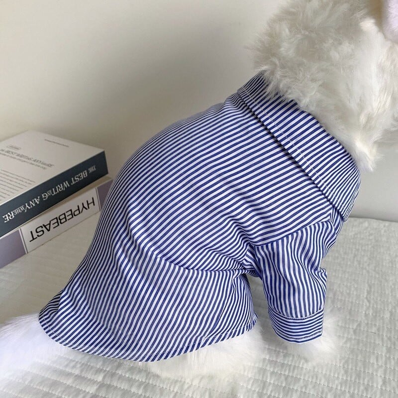 Širdies akių marškinėliai Naminių gyvūnėlių drabužiai Šunys Dryžuoti šunų Drabužiai Kostiumas Mažas prancūzų buldogas Spaudinys Mielas pavasaris vasara mėlynas berniukas talismanai