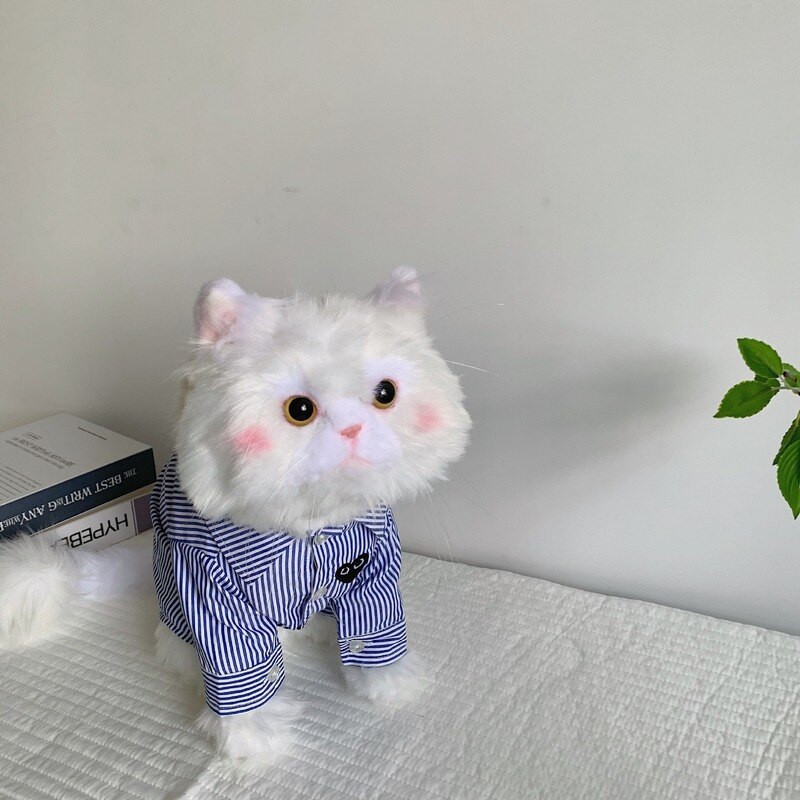 Širdies akių marškinėliai Naminių gyvūnėlių drabužiai Šunys Dryžuoti šunų Drabužiai Kostiumas Mažas prancūzų buldogas Spaudinys Mielas pavasaris vasara mėlynas berniukas talismanai