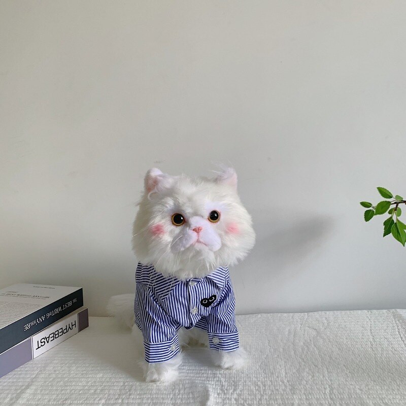 Širdies akių marškinėliai Naminių gyvūnėlių drabužiai Šunys Dryžuoti šunų Drabužiai Kostiumas Mažas prancūzų buldogas Spaudinys Mielas pavasaris vasara mėlynas berniukas talismanai