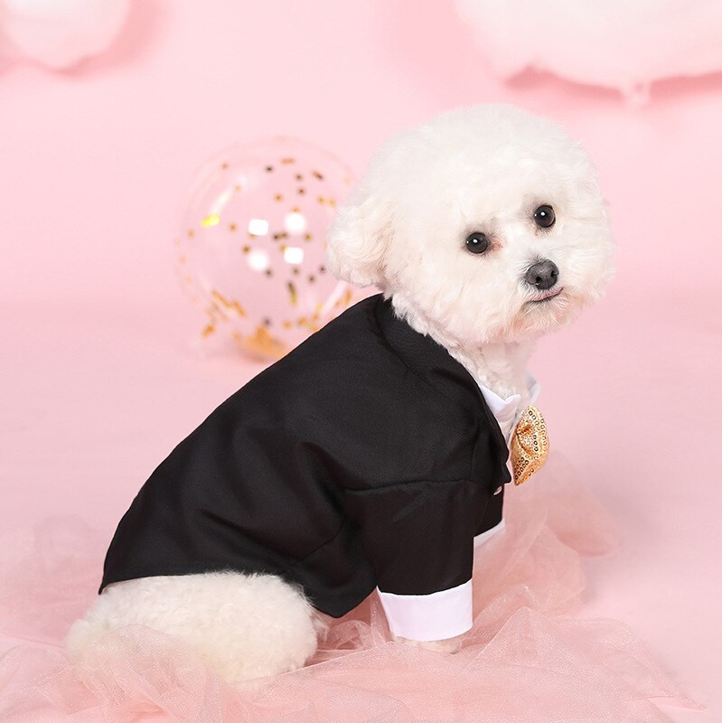 Gentleman Dog Haine în stil occidental Costum de nuntă Cămașă formală pentru câini de talie mică Paiete aurii Tuxedo Party Costum de cățeluș pentru pisici