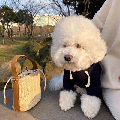 Animal de companie drăguț Îmbrăcăminte ocazională Cățeluș Haine pentru câini Pudel Teddy Bichon Câine Pisică Pomeranian Yorkshire Terrier Schnauzer Îmbrăcăminte pentru câini mici XS