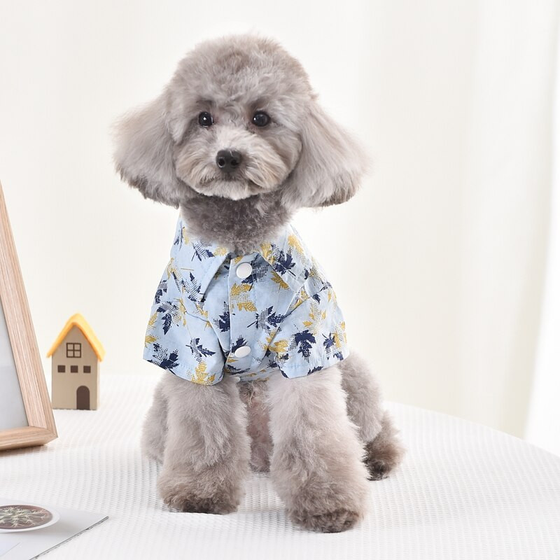 Oblečenie pre domáce zvieratá s potlačou javorového listu pre stredné psy, modré XS až XXXL, letné tričko s krátkym rukávom, mačka, malé šteniatko, zvieracie kostýmy pre čivavu, mopslíky, tovar