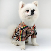 Pavasario ir vasaros languotų juostelių marškinėliai šunų drabužiai mažiems šunims Madingi prancūzų buldogai Jorko naminių kačių marškinėliai Vidutinio dydžio šuniukų dizaineris