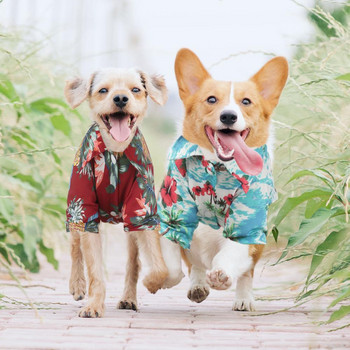 2022 Ново облекло с шапка за кученца от коралово руно Сладко облекло за малки кучета Теди Есенни и зимни модели Doggie Transfiguration Ежедневни