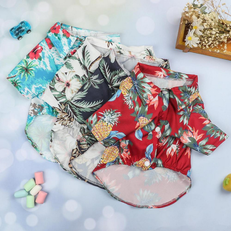 2022 m. nauji koralų vilnos šuniuko kepurė Drabužiai Mieli mažo šuns rūbai Meškiukai rudens ir žiemos modeliai šuniuko persikūnijimas kasdienis