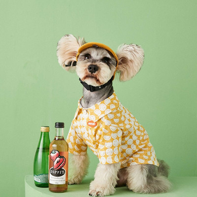 Suvised õhukesed koerariided hingavad naeratavad kena särk Šnautser Prantsuse buldog, mis sobib väikeste ja keskmiste koerte riietega