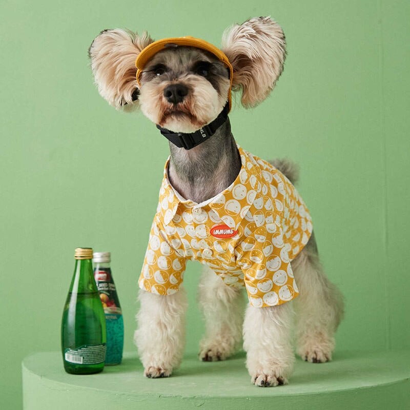 Suvised õhukesed koerariided hingavad naeratavad kena särk Šnautser Prantsuse buldog, mis sobib väikeste ja keskmiste koerte riietega