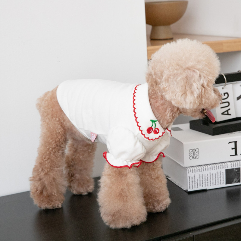 Jesenné a zimné oblečenie pre domáce zvieratá, bavlnené mäkké topy pre psov, vesta s čerešňovou potlačou, roztomilé bublinkové tričko, elegantné, sladké plyšové oblečenie pre psov a mačky