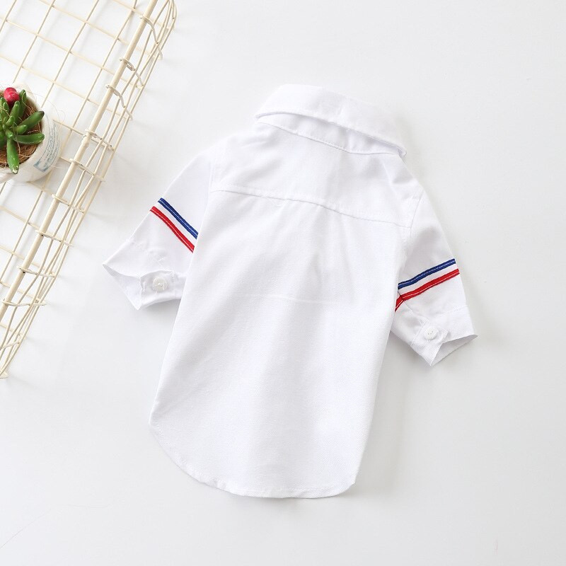 Uued vabaaja lemmikloomariided kahe jalaga särk särk lemmiklooma kutsikate riiete töötlemise tehas koerariided kevad-suvi