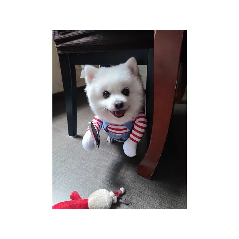 Helovino šunų kostiumai Juokingi naminių gyvūnėlių drabužiai su peruku Naminiai gyvūnai Šunys Kostiumų vakarėlis Aprangos reikmenys Vidutiniams dideliems Šunims Buldogas Mopsas