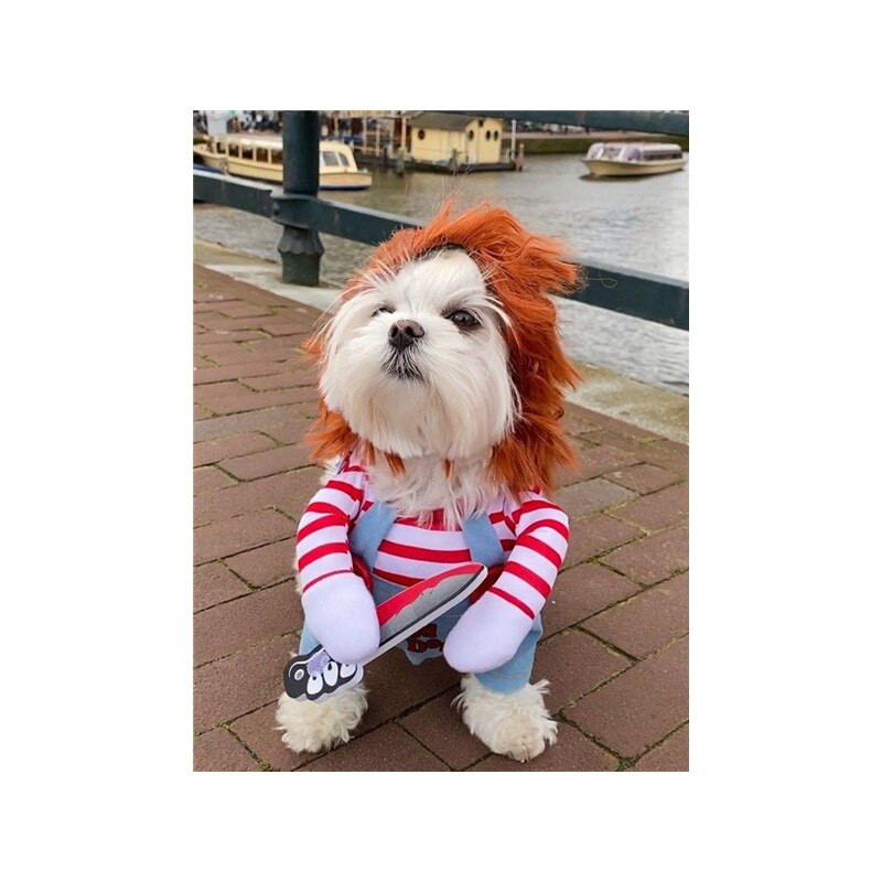 Helovino šunų kostiumai Juokingi naminių gyvūnėlių drabužiai su peruku Naminiai gyvūnai Šunys Kostiumų vakarėlis Aprangos reikmenys Vidutiniams dideliems Šunims Buldogas Mopsas