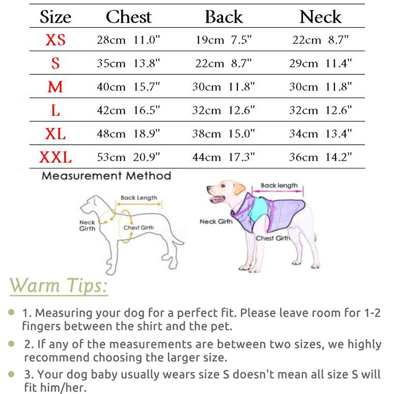 Šunų kombinezonas Pavasarinis kombinezonas šunims Megztiniai Kelnių komplektas Kostiumas Prancūzų buldogas Yorkie Chihuahua Drabužiai mažiems šunims Sportinis kostiumas