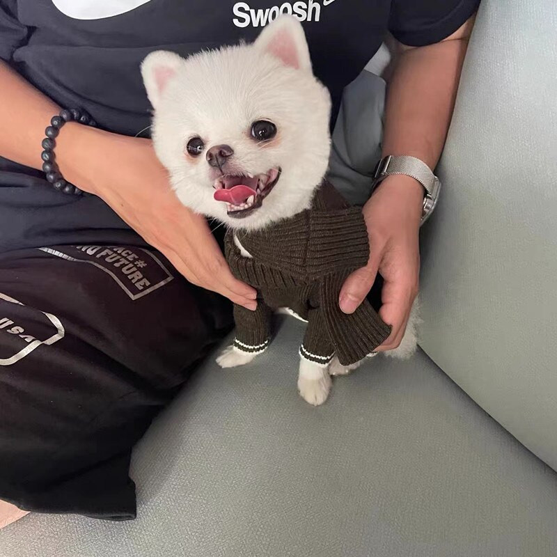 Zimné oblečenie pre psov, sveter a overal + šál, obleky pre šteniatka, kabát, bunda, pudel, maltézsky špic, overal, kostým pre domáce zvieratá, oblečenie pre psov
