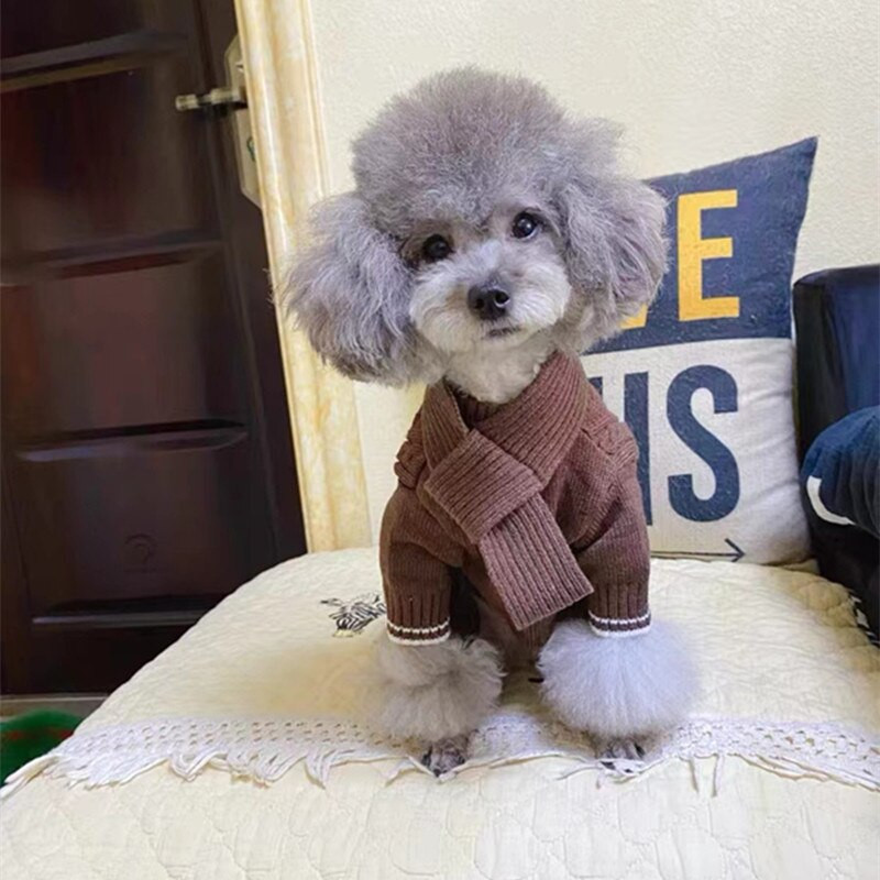 Zimné oblečenie pre psov, sveter a overal + šál, obleky pre šteniatka, kabát, bunda, pudel, maltézsky špic, overal, kostým pre domáce zvieratá, oblečenie pre psov