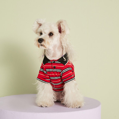 Oblečenie pre psov, červené pruhované POLO tričko, roztomilý kostým pre domáce zvieratá, tričká pre domáce zvieratá, dizajnové oblečenie pre psov, tričká pre psov, tričká pre malé psy
