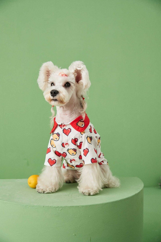 Karusärgid Lemmikloomariided Koerad Süda õhukesed Koerariided Väike kostüüm Pehme Prantsuse buldog Suvipunane Tüdruk Poiss Kaelarihm Perro