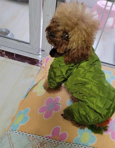 Lemmikloomakoerte riided Talveülikonnad Jumpsuit kutsika rõivad York Shih Tzu Bichon Chihuahua Romperid Väikesed Koerad Kombinesoonid Rõivas Dropship