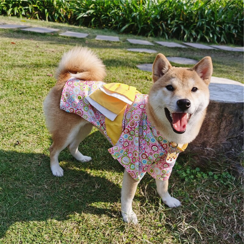 Oblečenie pre psov, japonské kimono pre kostýmy pre psov, sady pre psov, corgi, shiba inu, pudel, vianočné, veľkonočné pre psov, sviatočné kostýmy pre psov, cosplay