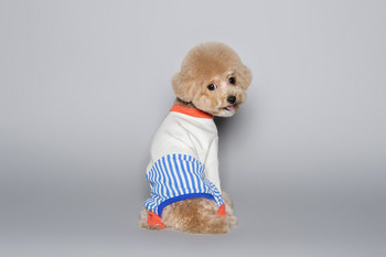 INS Сладки раирани дрехи с четири крака Naughty Colour Matching Series Комбинезон за домашни любимци Дрехи за кучета Teddy Bichon Гащеризон за кучета